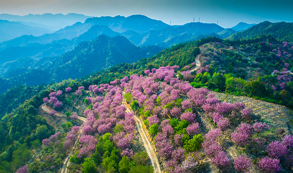 DJI_0040.jpg