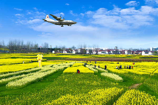 4、代家山观花点.jpg