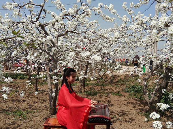 李花仙子.jpg