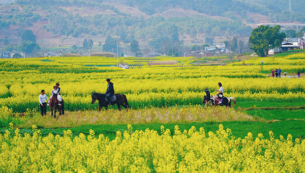 图片6：“走马观花”.jpg