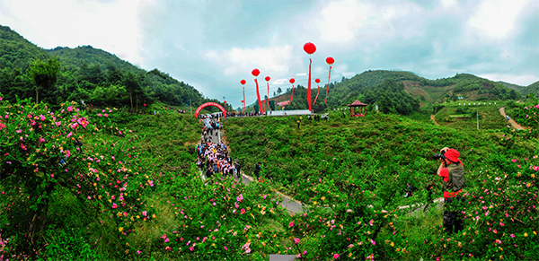 图片2刺梨花节开幕盛况现场.png