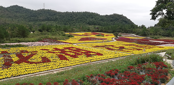图4：“龙湖花海”生态农业园一角.jpg