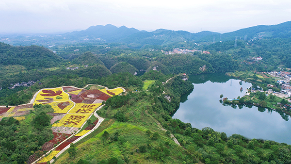 图11：“龙湖花海”生态农业园全貌.jpg