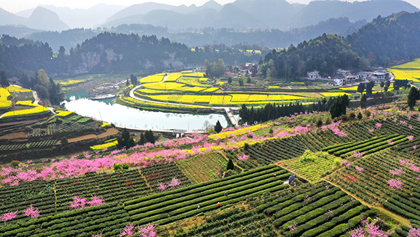 图片5长碛古寨花季美景.png