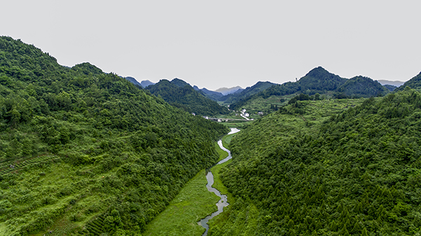 图片9茶寿山水银河.jpg