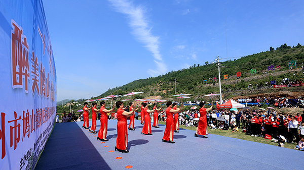 5、第七届“闵杏”采摘旅游文化节开幕式.jpg