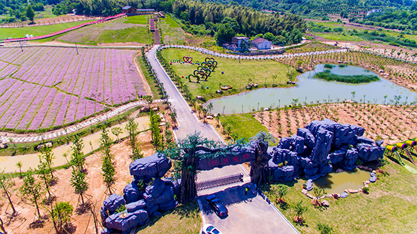 18 .玲珑花谷-大门.jpg