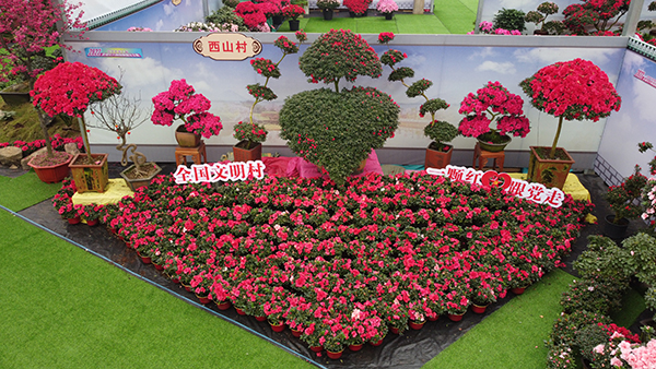 图片5.花卉.jpg
