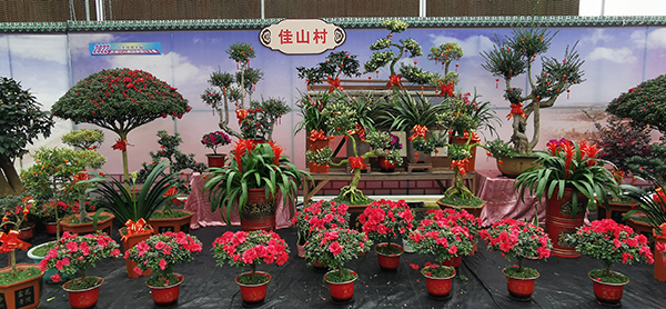 图片8.花卉.jpg
