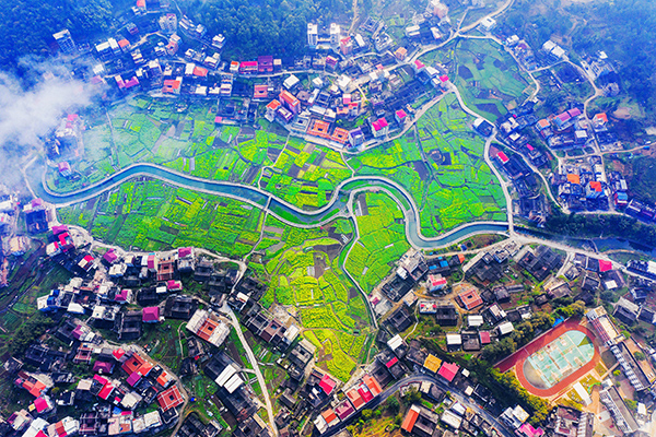 油菜花田航拍图.jpg