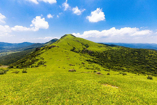 大姆山草场 1.jpg
