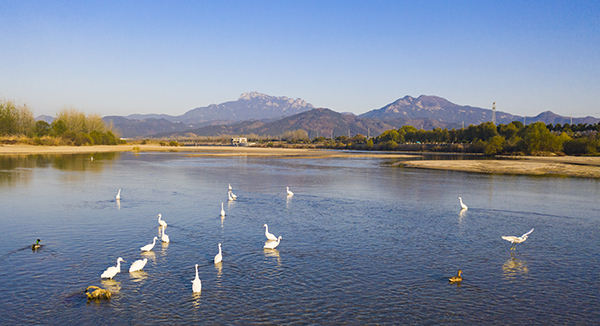 潜河湿地公园水面景.jpg