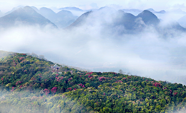 图片七普底景区数花峰.jpg
