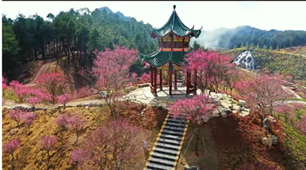 图片4.png