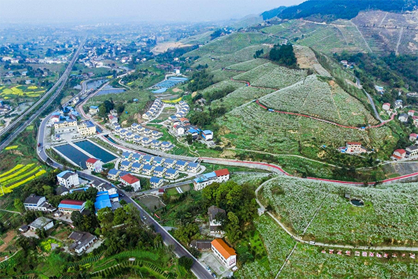 附件22：蜜梨度假村全景图.png