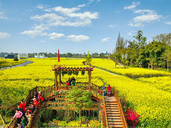 5.东林村油菜花海观景台.jpg