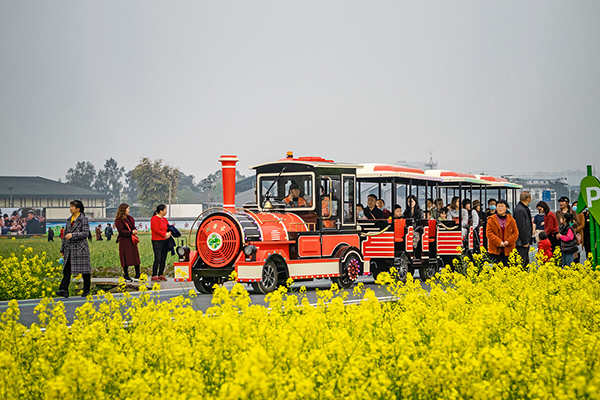 6.东林村油菜花.jpg