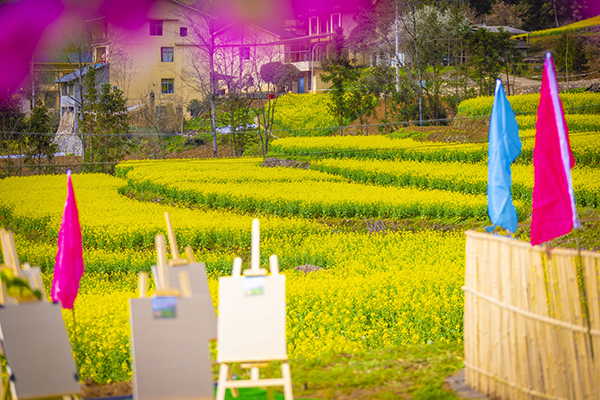 花田写生.jpg