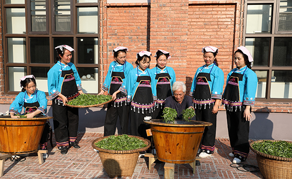 12. 南丹县六龙茶乡村旅游示范区六堡茶杜超年大师现场炒茶.jpg