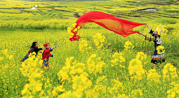1.巴平梯田3月油菜花1.jpg