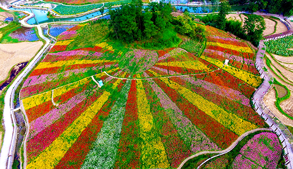 8.绿稻花海休闲农业核心示范区花海世界.jpg