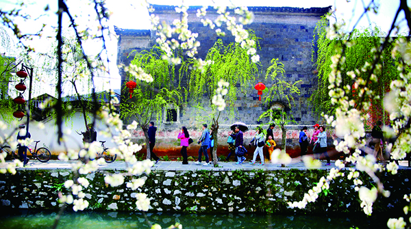 沼山村春日赏花.jpg