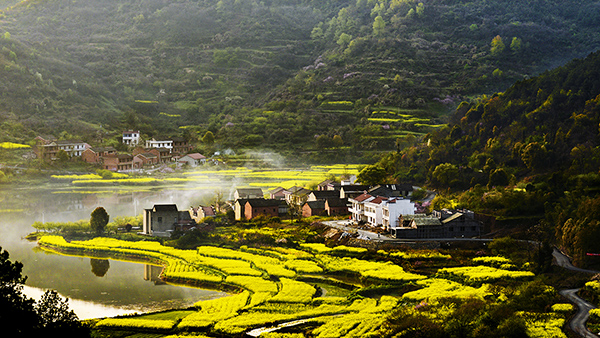 沼山油菜花海.jpg