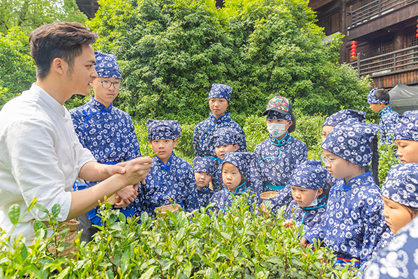 5大唐贡茶院：研学.jpg