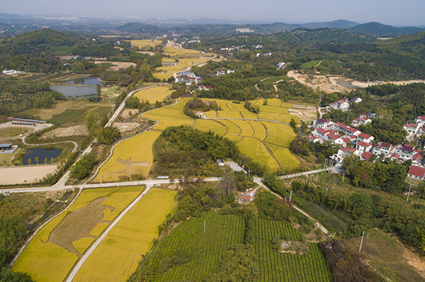 图片2：江苏省溧阳市戴埠镇戴南村鸟瞰.jpg