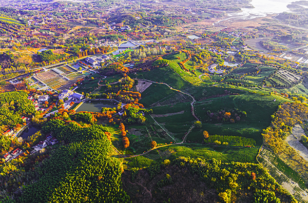 图片5：江苏省溧阳市戴埠镇戴欣龙生态园全景.jpg