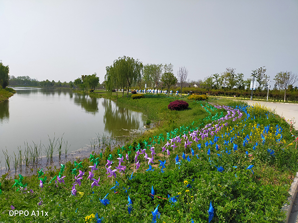 5、景区绿化.jpg