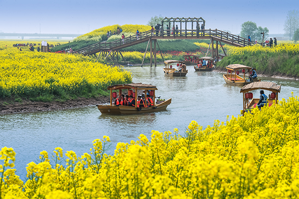 图片1、乘乌篷船观赏油菜花.jpg
