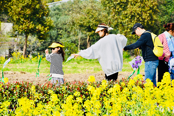 菜花节1.jpg