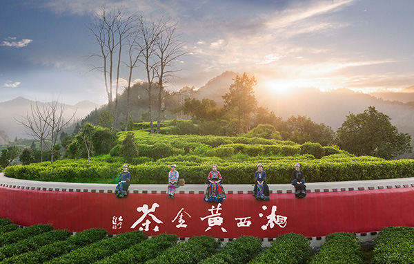 图片1吉首市马劲坳镇隘口村司马茶居-黄金茶茶鼓.jpg