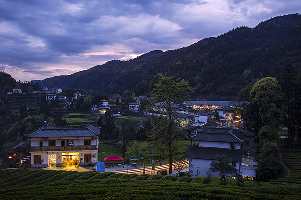 11、伍家台景区夜景.jpg