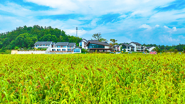 DJI_0343.JPG