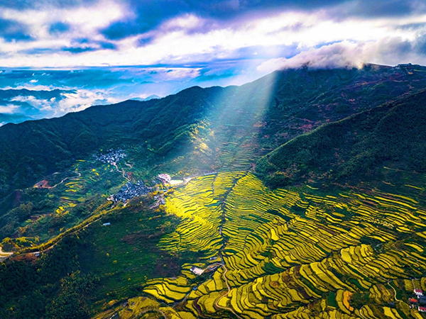 覆卮山千年梯田.jpg