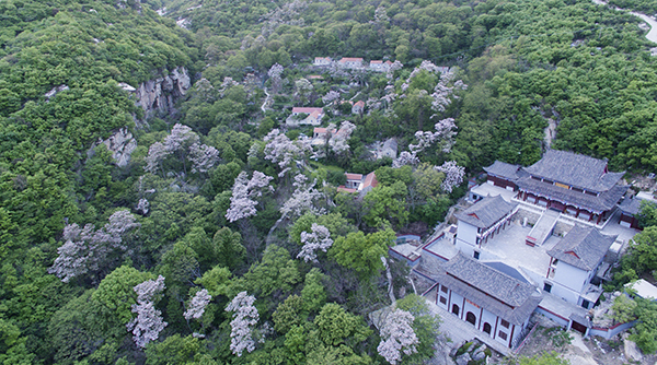 雪道寺.jpg