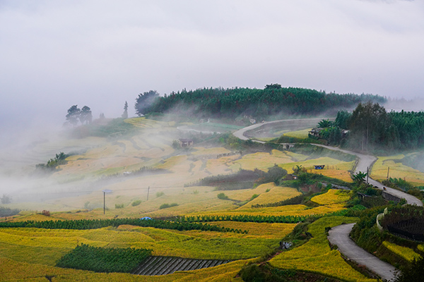 万亩水稻梯田旅游路线4.jpg