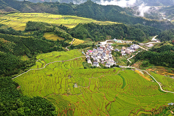 图片15：绿美梯田全景.JPG
