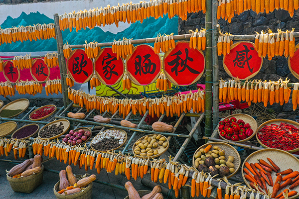 图片19：丰收的喜悦.jpg