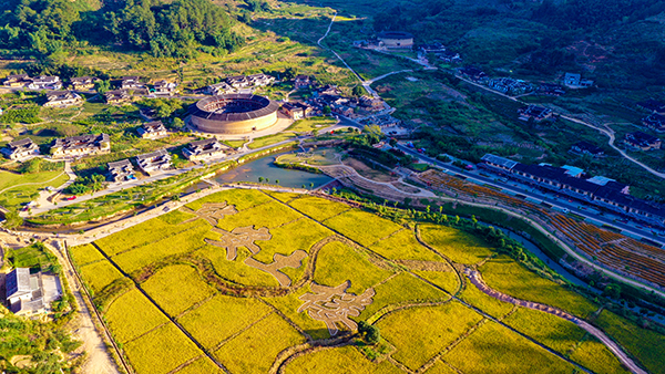 1大地土楼稻田 (3).jpg
