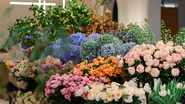 图片8：言蹊花卉花卉集锦.jpg