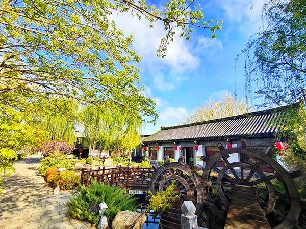 景观照.jpg