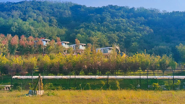 露营地景色一角.jpg