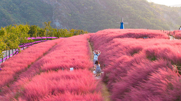 粉黛基地一角.jpg