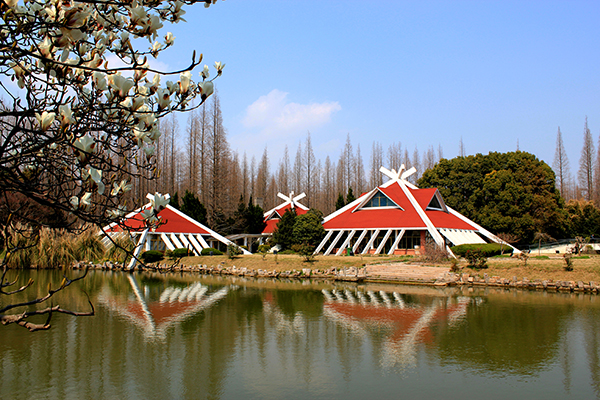 崇明岛旅游景点大全图片