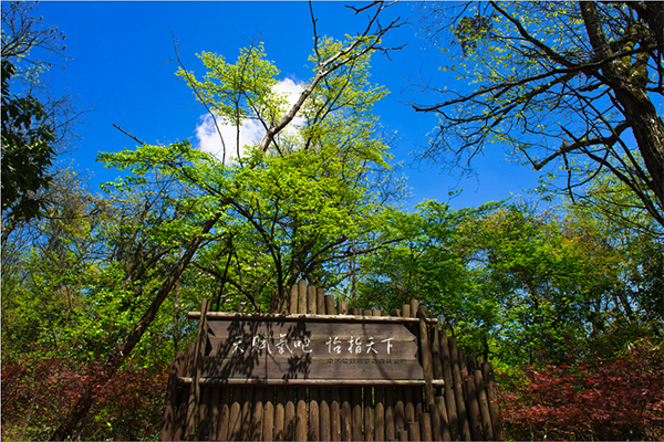 坪坝营景区天赋氧吧.png