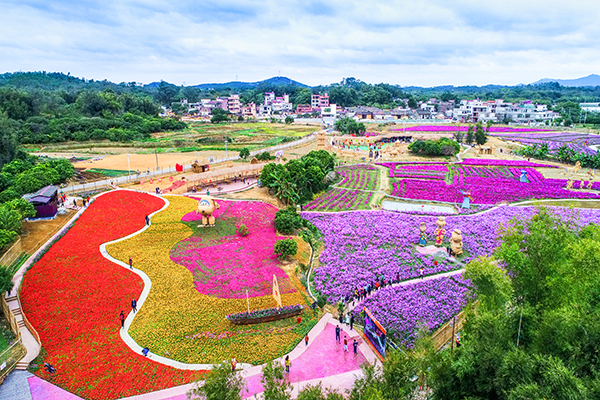 稻草农业公园3.jpg