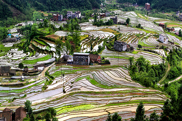 图片3（桂林市全州县才湾镇驿马梯田） (1).jpg